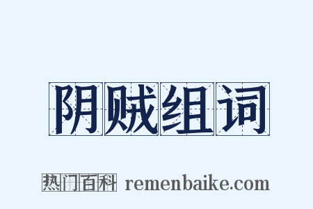 阴贼组词是什么意思的图片